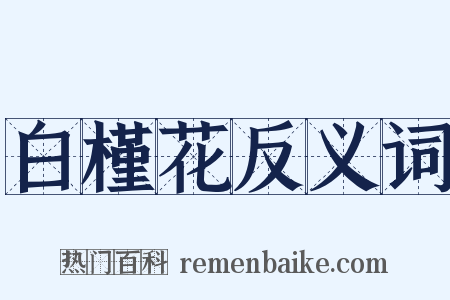 白槿花反义词是什么意思的图片